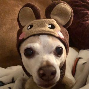 Meet your Posher, Bethany